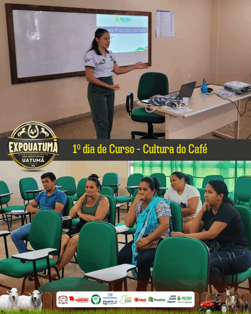 cultura do café
