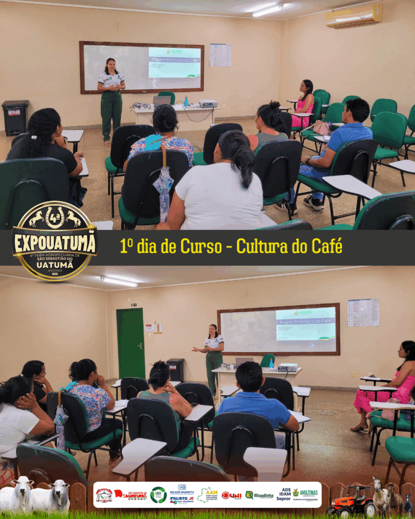 cultura do café