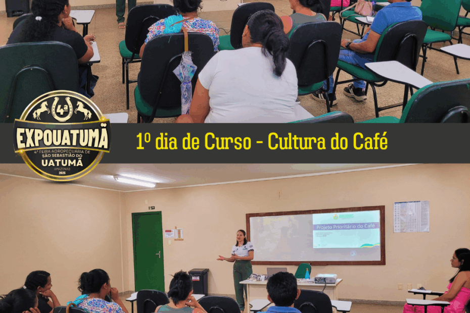 cultura do café